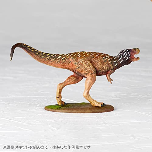 ARTPLA Researcher & Tyrannosaurus Set