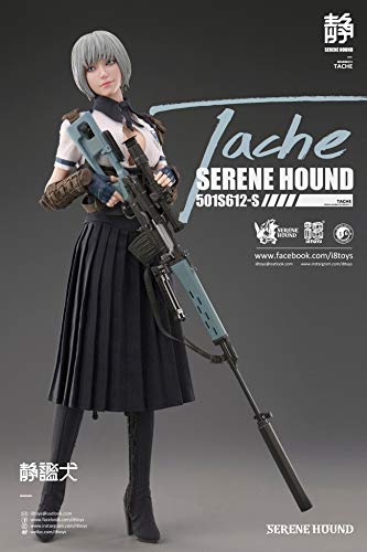 i8TOYS SERENE HOUND SERIES 501S612-S TACHE 1/6 SCALE ACTION FIGURE