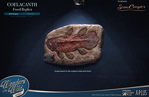 Star Ace Toys Wonders of the Wild Series Coelacanth Fossil Replica