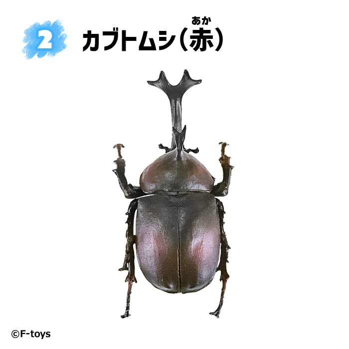 Beetle & Stag Beetle Hunter Kabutomushi x Kuwagata (June, 2023 Edition)