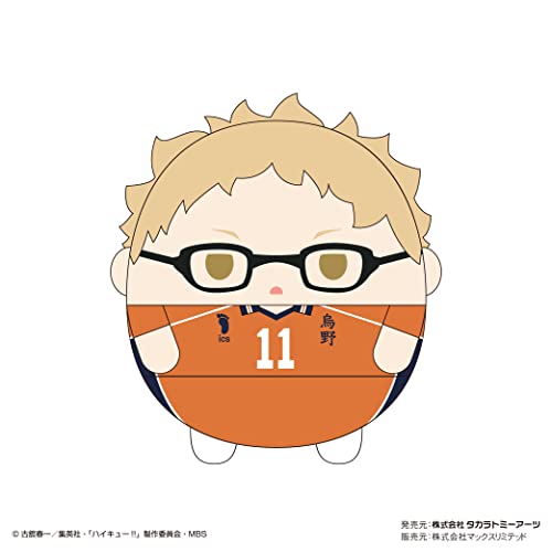 HQ-33 "Haikyu!!" Fuwakororin (M Size) 5 B Tsukishima Kei