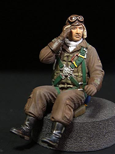 Akizuki Ritsuko (Boeing F/A-18F version) - 1/72 scale - The Idolmaster - Hasegawa