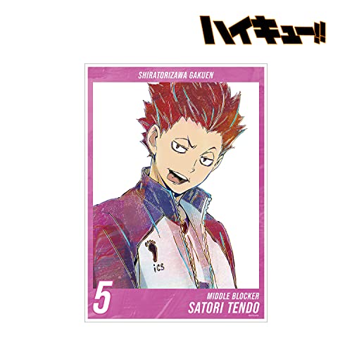 "Haikyu!!" Tendo Satori Ani-Art Vol. 5 A3 Matted Poster