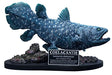 【STAR ACE TOYS】Star Ace Toys Wonders of the Wild Series Coelacanth Polyresin Statue