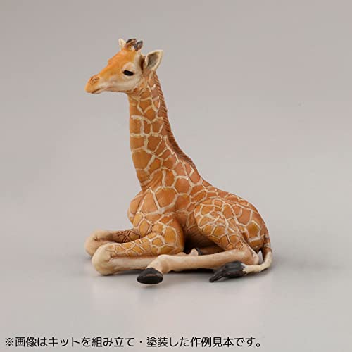 ARTPLA Keeper & Infant Set