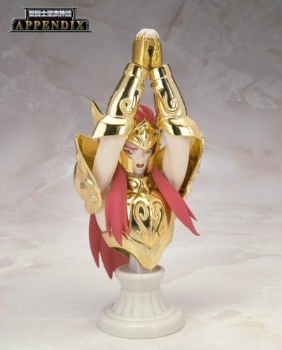 Tamashii Nation 2010 Limited Edition Saint Seiya Mythology APPENDIX Aquarius Skamy Original Color Edition