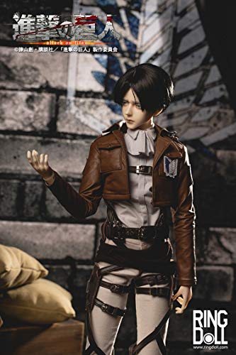 RingDoll "Attack on Titan" BJD Doll Levi Ackerman