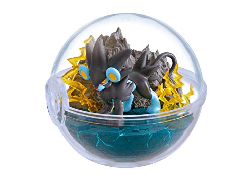 "Pokemon" Terrarium Collection 9