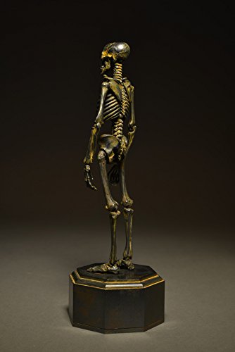 Gaikotsu (Iron Rust version) KT Project (KT-005) Revoltech Takeya - Kaiyodo