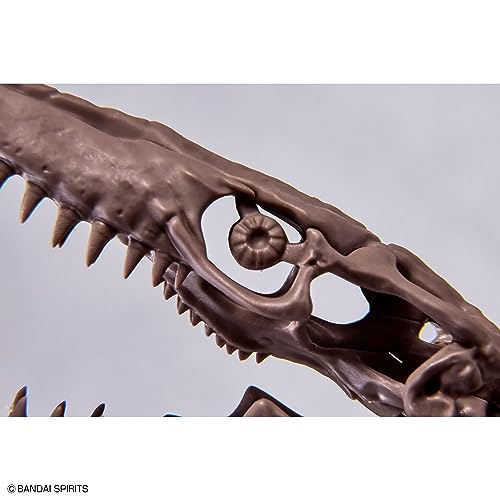 1/32 Imaginary Skeleton Mosasaurus