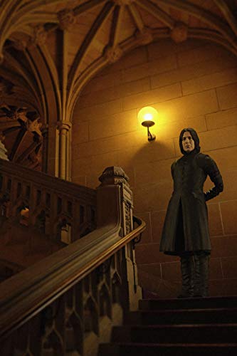 Severus Snape S.H.Figuarts Harry Potter and the Philosopher's Stone - Bandai