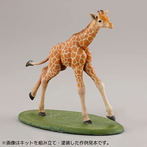 ARTPLA Keeper & Infant Set