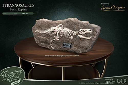 Star Ace Toys Wonders of the Wild Series Tyrannosaurus Rex Fossil Replica