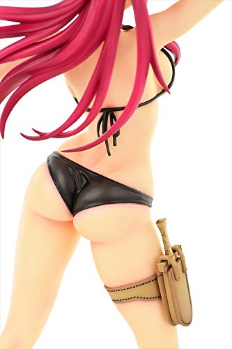 "Fairy Tail" Erza Scarlet Swimwear Gravure Style