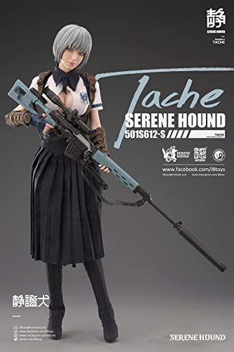 i8TOYS SERENE HOUND SERIES 501S612-S TACHE 1/6 SCALE ACTION FIGURE