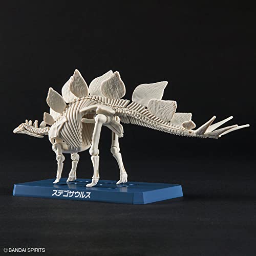 New Dinosaur Plastic Model Brand Stegosaurus