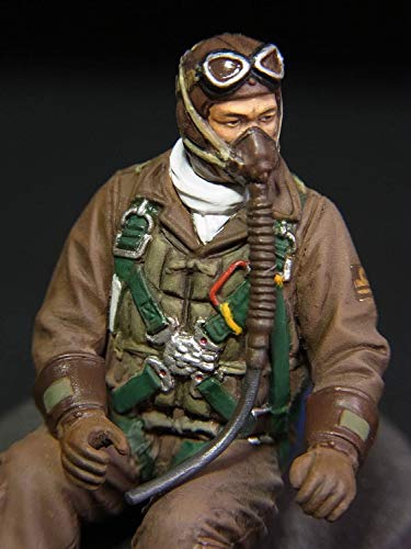 Akizuki Ritsuko (Boeing F/A-18F version) - 1/72 scale - The Idolmaster - Hasegawa