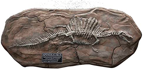 Star Ace Toys Wonders of the Wild Series Spinosaurus Fossil Replica