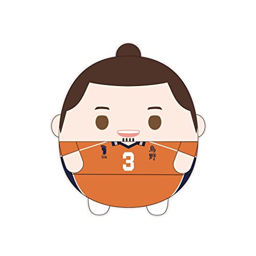 HQ-41 "Haikyu!!" Fuwakororin (M Size) 7 B Azumane Asahi