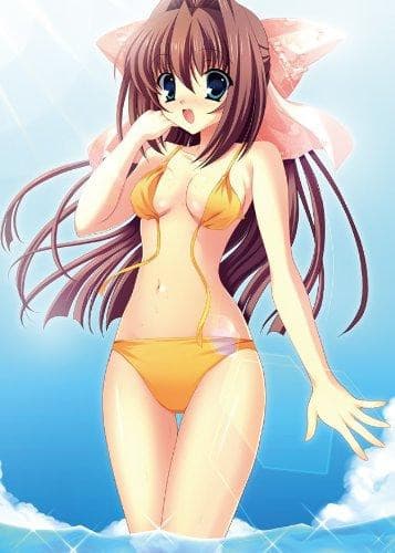 Asakura Otome (versión de edición limitada) El recibo, Da Capo II - Cospa