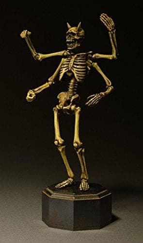 (Versión en color) Proyecto KT (KT-006) Revoltech Takeya - Kaiyodo