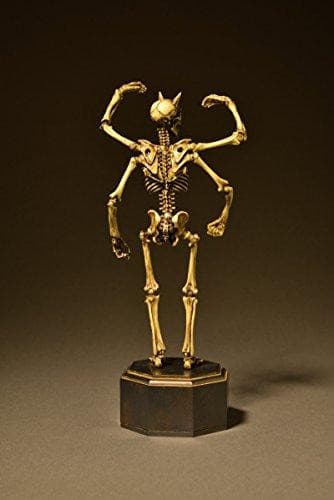 (Versión en color) Proyecto KT (KT-006) Revoltech Takeya - Kaiyodo