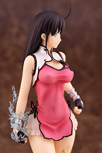 Blade Arcus from Shining 1/7 Won Pairon 2P Color ver.