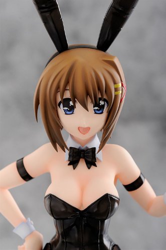 Yagami Hayate 1/4 Mahou Shoujo Lyrical Nanoha Strikers - Frote
