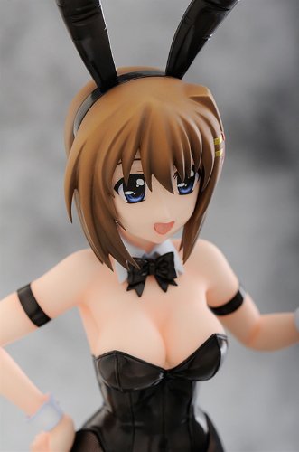 Yagami Hayate 1/4 Mahou Shoujo Lyrical Nanoha Strikers - Frote