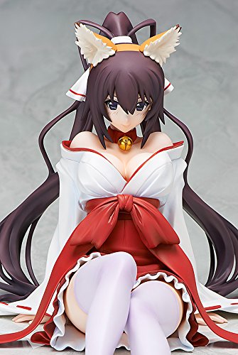 Shinonono Houki 1/4 EST: Infinite Stratos 2 - Libérer