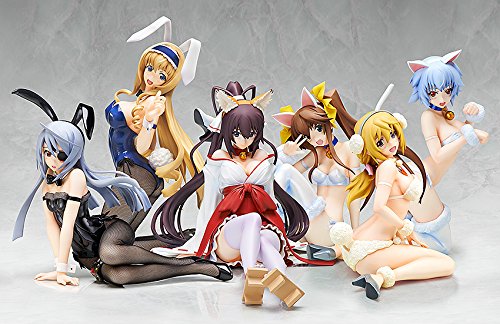 Shinonono Houki 1/4 EST: Infinite Stratos 2 - Libérer