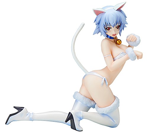Sarashiki Tatenashi 1/4 EST: Infinite Stratos 2 - Libérer