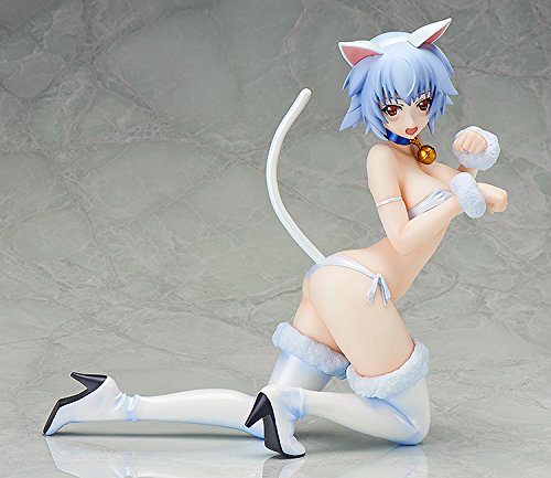 Sarashiki Tatenashi 1/4 EST: Infinite Stratos 2 - Libérer