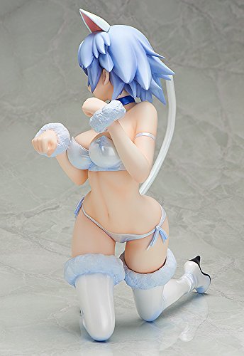 Sarashiki Tatenashi 1/4 EST: Infinite Stratos 2 - Libérer