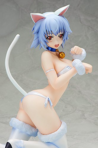 Sarashiki Tatenashi 1/4 EST: Infinite Stratos 2 - Libérer