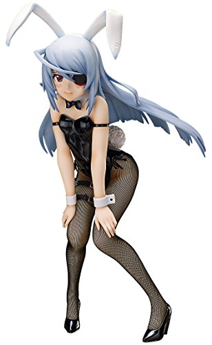 "IS: Infinite Stratos" 1/4 Laura Bodewig - FREEing