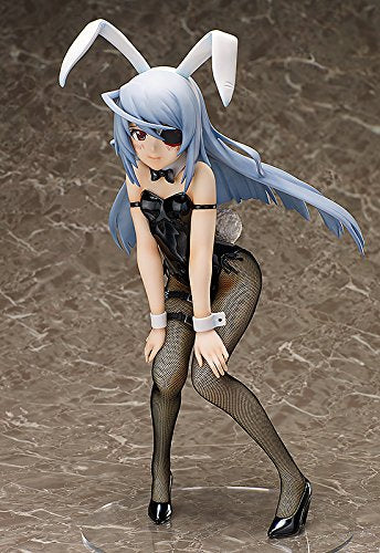 "IS: Infinite Stratos" 1/4 Laura Bodewig - FREEing