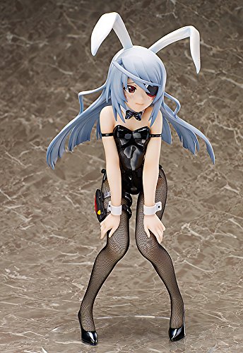 "IS: Infinite Stratos" 1/4 Laura Bodewig - FREEing