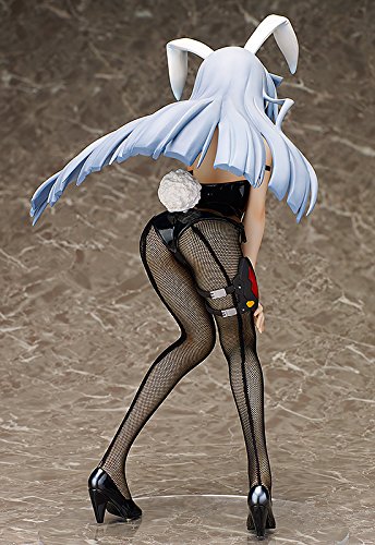 "IS: Infinite Stratos" 1/4 Laura Bodewig - FREEing