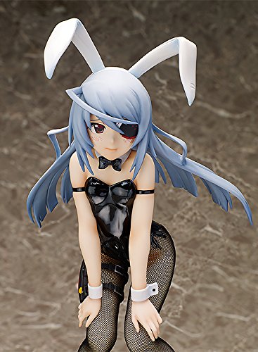 "IS: Infinite Stratos" 1/4 Laura Bodewig - FREEing