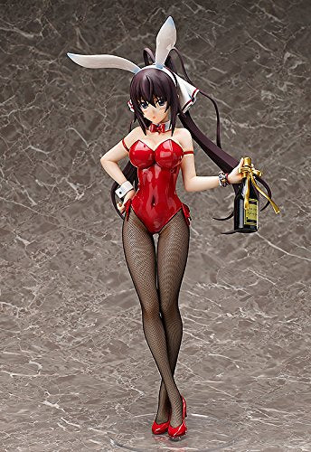 Shinonono Houki 1/4 B-style: Infinite Stratos libération de la