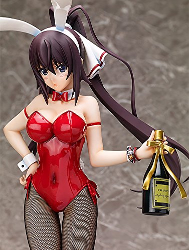 Shinonono Houki 1/4 B-style: Infinite Stratos libération de la