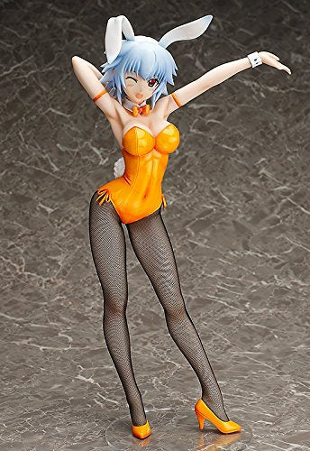 Sarashiki Tatenashi 1/4 B-style IS: Infinite Stratos - FREEing