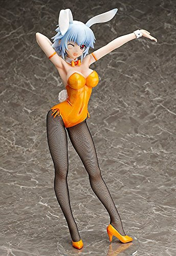 Sarashiki Tatenashi 1/4 B-style IS: Infinite Stratos - FREEing