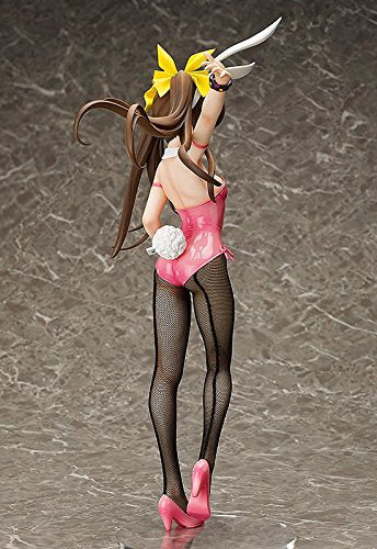 Huang Lingyin 1/4 B-style: Infinite Stratos libération de la