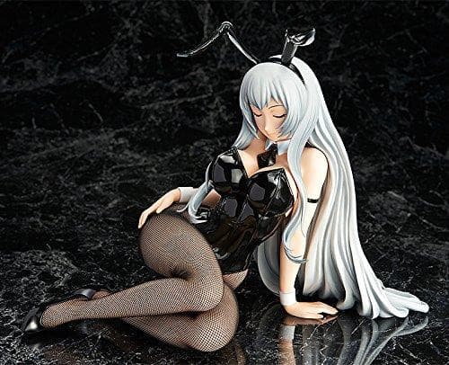 "Ikki Tousen  : Extravaganza Epoch" 1/4 B-style Chouun Shiryuu - FREEing