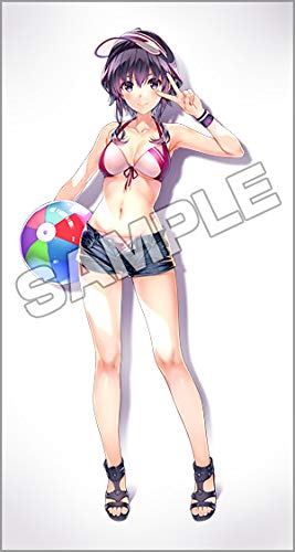 Hyoudou Michiru (Swimsuit ver.) - 1/7 scale - Saenai Heroine no Sodatekata ♭