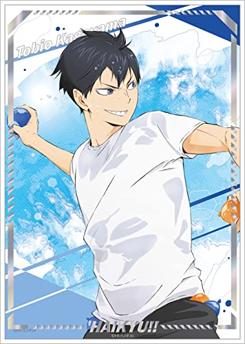 "Haikyu!! To The Top" Portrait Collection