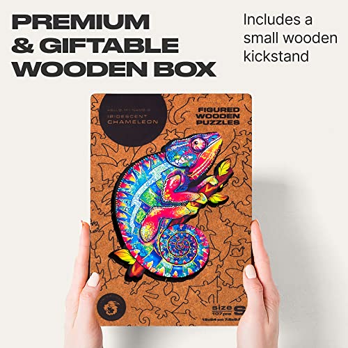 Iridescent Chameleon 107 Piece S Size