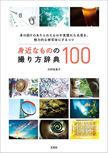 Mijikana Monono Torikata Jiten 100 (Book)